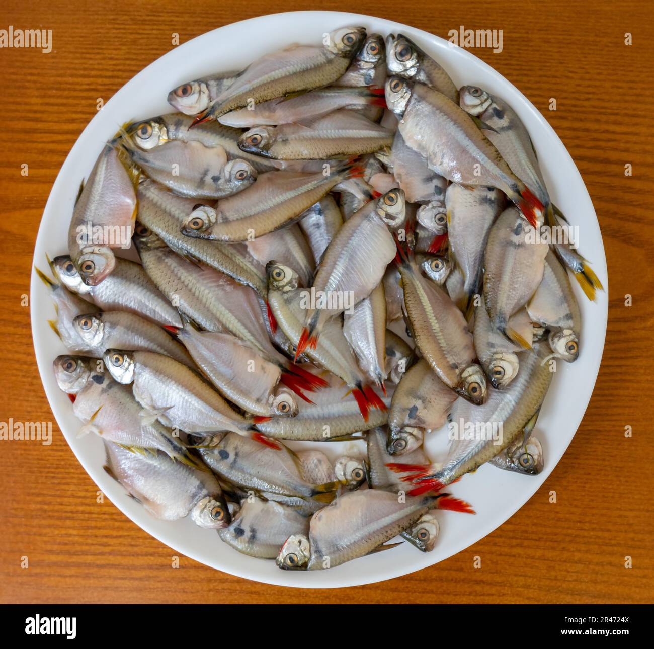 Fritto Lambari do Rabo Vermelho (Astyanax bimaculatus) pesce d'acqua dolce tipico brasiliano Foto Stock
