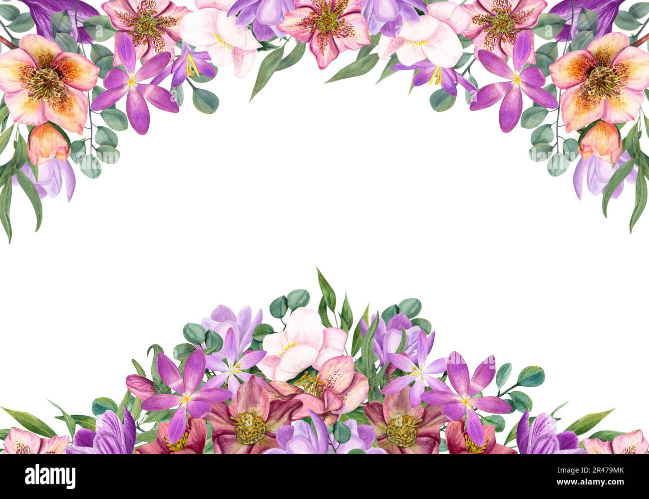 Insolito telaio floreale con cordoncini acquerelli, cocchi, eucalipto isolato su sfondo bianco. Illustrazione botanica per il disegno di cartolina Foto Stock