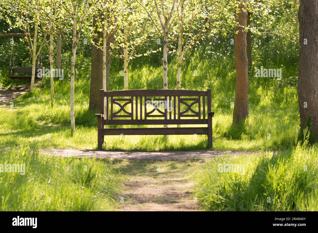 Panchina del parco vuoto su una passeggiata nella foresta Foto Stock