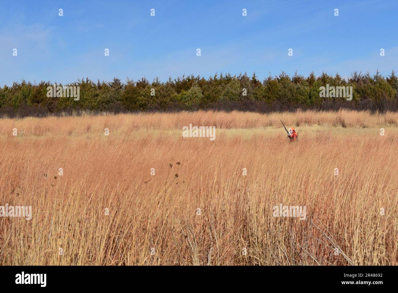 Caccia di uccelli selvatici nell'altopiano nel LaCreek National Wildlife Refuge, South Dakota - 50614627098 Foto Stock