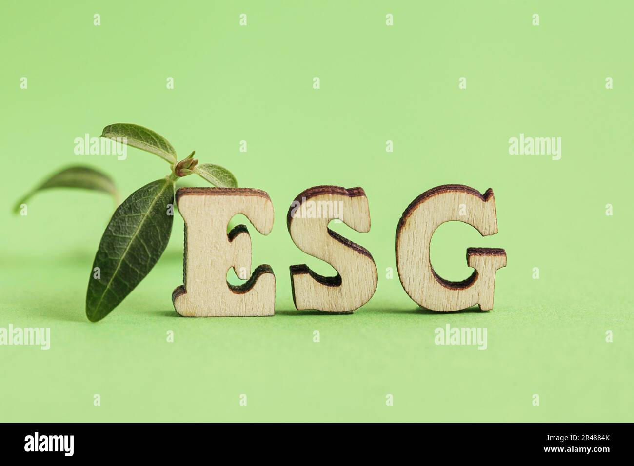 Legno lettera ESG, piante fresche, sfondo verde. Ambiente, sociale, Corporate Governance. Investimenti socialmente responsabili. Concetto sostenibile. Gr Foto Stock