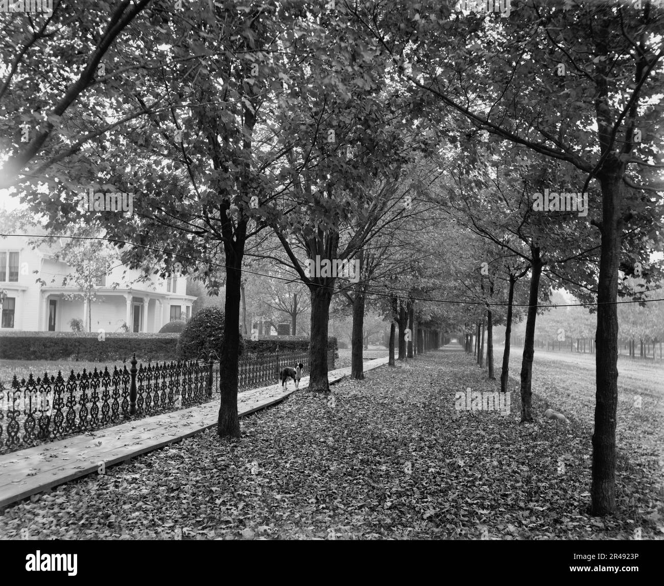 Gratiot Ave. E Church St., Mt. Clemens, tra il 1880 e il 1899. Foto Stock