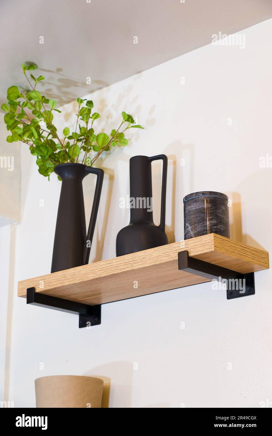 Primo piano di una pianta in vaso esposta su uno scaffale di una stanza Foto Stock