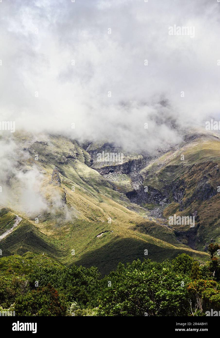 Una vista maestosa del Monte Taranaki in Nuova Zelanda. Foto Stock
