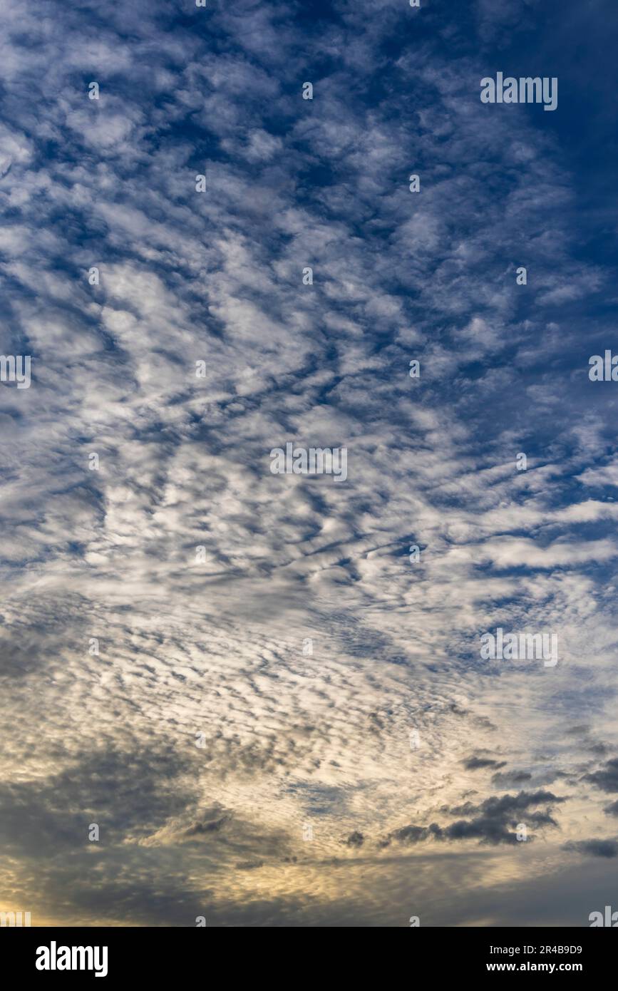 Sgombro le nuvole contro un cielo blu Foto Stock