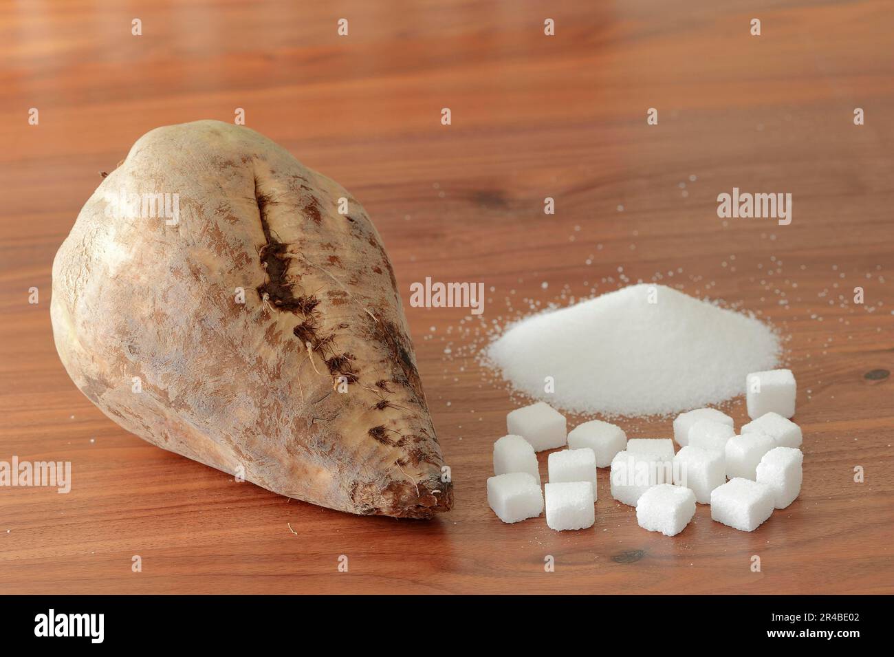 Barbabietole da zucchero e zucchero bianco (Beta vulgaris ssp. vulgaris var. altissima), barbabietole da zucchero, barbabietole da zucchero, zucchero bianco, zucchero raffinato, zucchero a grumo Foto Stock