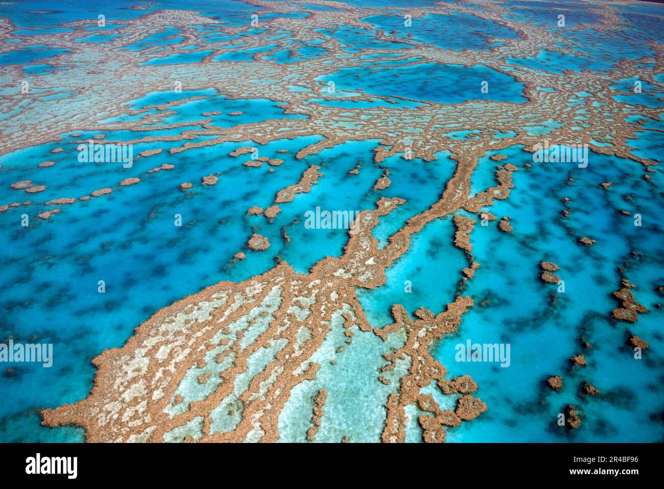 Barriere coralline e atolli, Grande barriera Corallina, Queensland, Australia Foto Stock