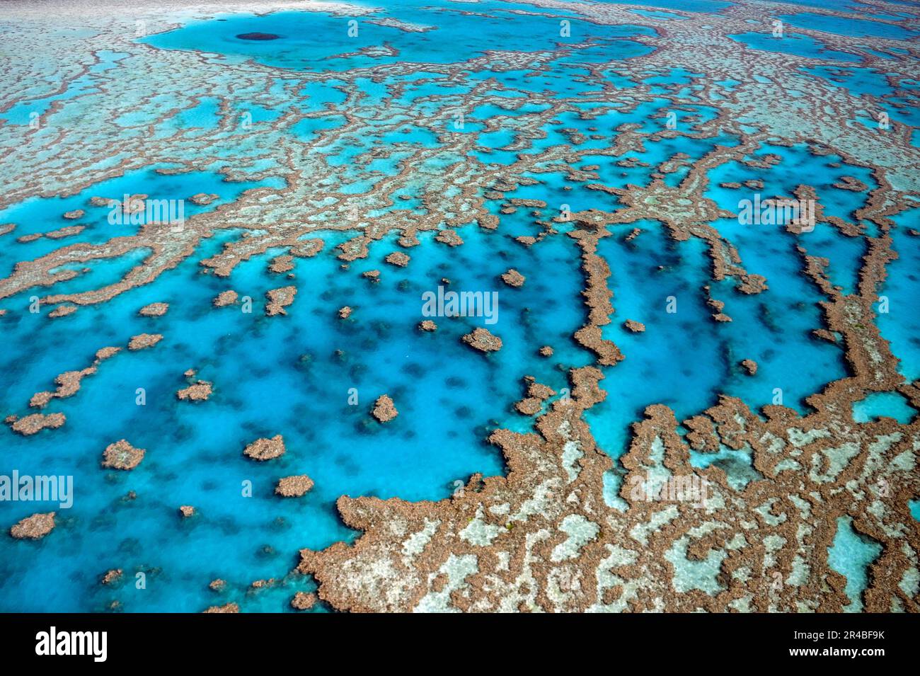 Barriere coralline e atolli, Grande barriera Corallina, Queensland, Australia Foto Stock