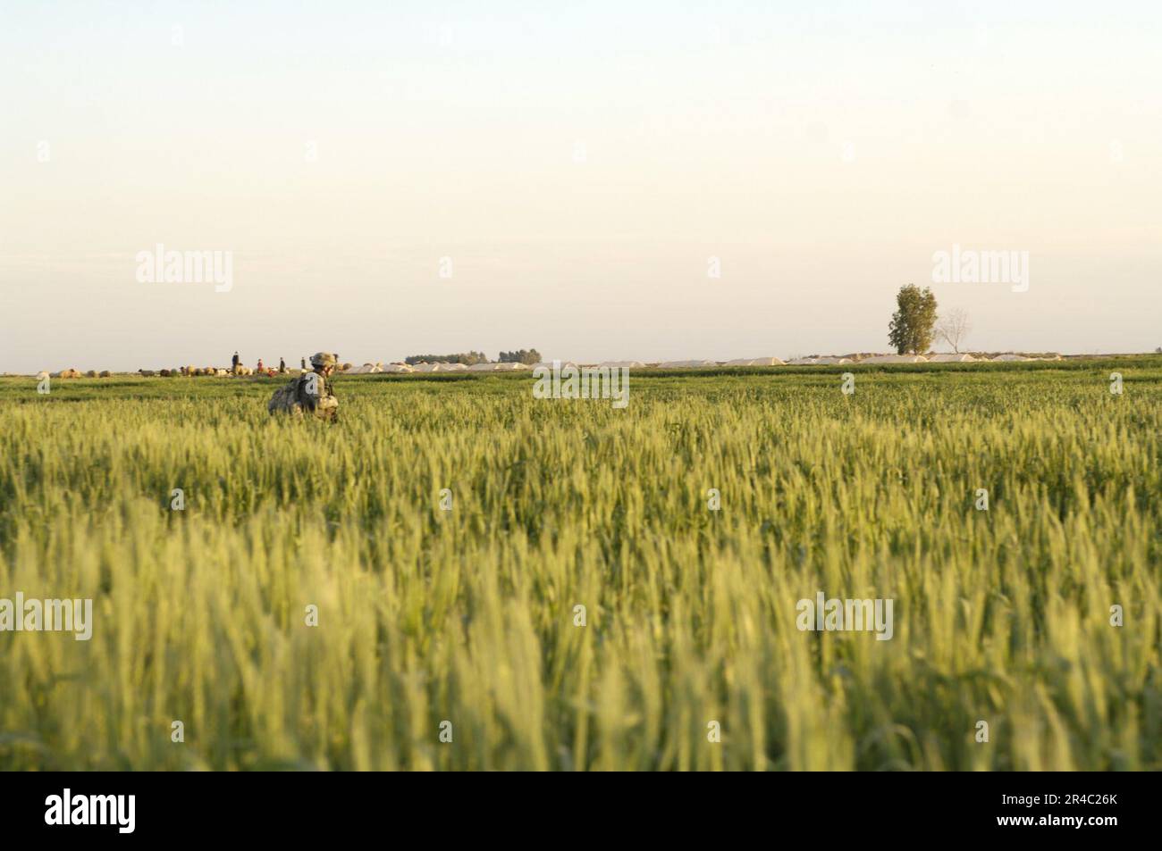 US Navy U.S.A. Soldati dell'esercito assegnati al 3rd° Battaglione 187th° Reggimento di Fanteria insieme con l'Iraq soldati dell'esercito della 2nd° Battaglione 1st° Brigata 4th° Divisione, lanciano l'operazione Slore. Foto Stock