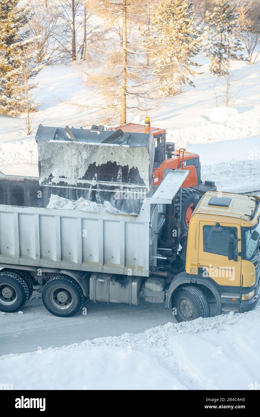Il trattore arancione grande pulisce la neve dalla strada e la carica nel carrello. Pulizia e pulizia delle strade della città dalla neve in inverno. Neve remo Foto Stock