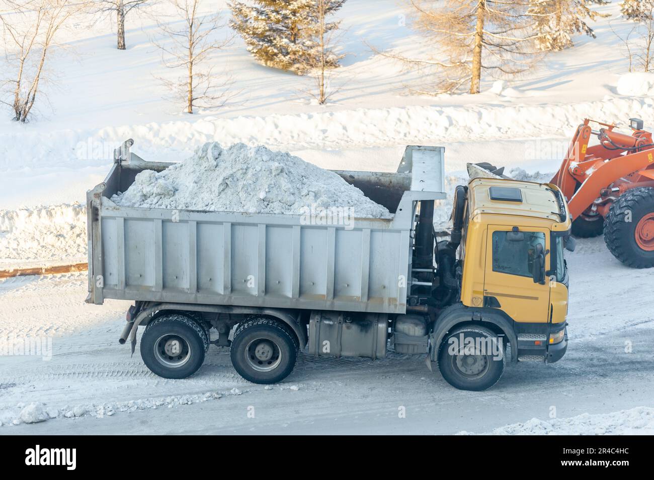 Il trattore arancione grande pulisce la neve dalla strada e la carica nel carrello. Pulizia e pulizia delle strade della città dalla neve in inverno Foto Stock