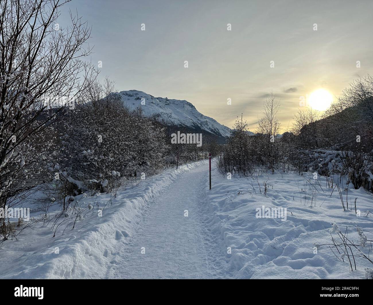 Una tranquilla scena invernale caratterizzata da un percorso tortuoso fiancheggiato da alberi alti e ricoperto di neve, con maestose montagne innevate sullo sfondo Foto Stock