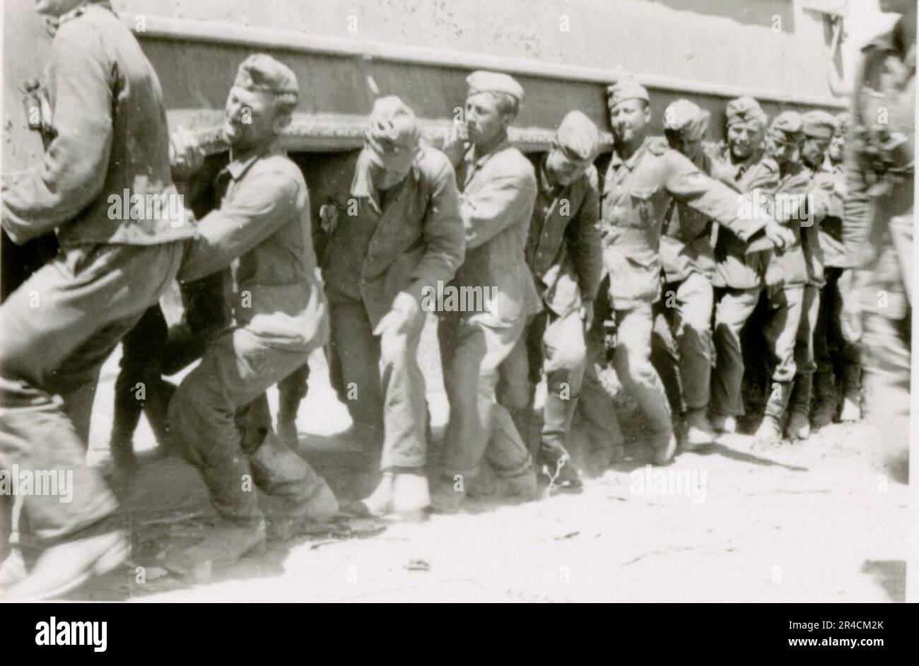 SS fotografo Willi Altstadt, Wiking Division, Russia 1942. Scene del villaggio della zona di Rostov, un Panzer III (con simboli unitari) e granatieri panzer sulla steppa, scene di combattimento lungo un fiume, primi piani della fanteria sul campo con armi individuali e servite dall'equipaggio, attraversamento del fiume (zattere d'assalto e pontone), costruzione di un blocco stradale, prigionieri di guerra russi, I soldati delle SS pescano e nuotano, cerimonia di premiazione delle unità, posto di osservazione affacciato su un fiume e equipaggio di artiglieria pesante con howitzer. Immagini che illustrano le attività in prima linea delle unità Waffen-SS sul fronte occidentale e orientale, i Foto Stock