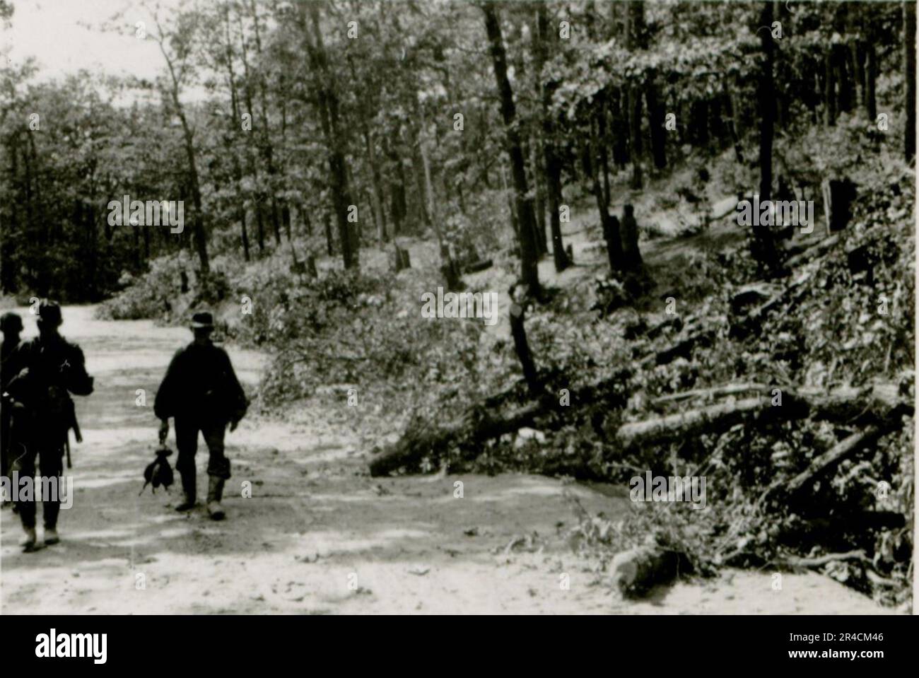 SS fotografo Willi Altstadt, Wiking Division, Russia 1942. Scene del villaggio della zona di Rostov, un Panzer III (con simboli unitari) e granatieri panzer sulla steppa, scene di combattimento lungo un fiume, primi piani della fanteria sul campo con armi individuali e servite dall'equipaggio, attraversamento del fiume (zattere d'assalto e pontone), costruzione di un blocco stradale, prigionieri di guerra russi, I soldati delle SS pescano e nuotano, cerimonia di premiazione delle unità, posto di osservazione affacciato su un fiume e equipaggio di artiglieria pesante con howitzer. Immagini che illustrano le attività in prima linea delle unità Waffen-SS sul fronte occidentale e orientale, i Foto Stock