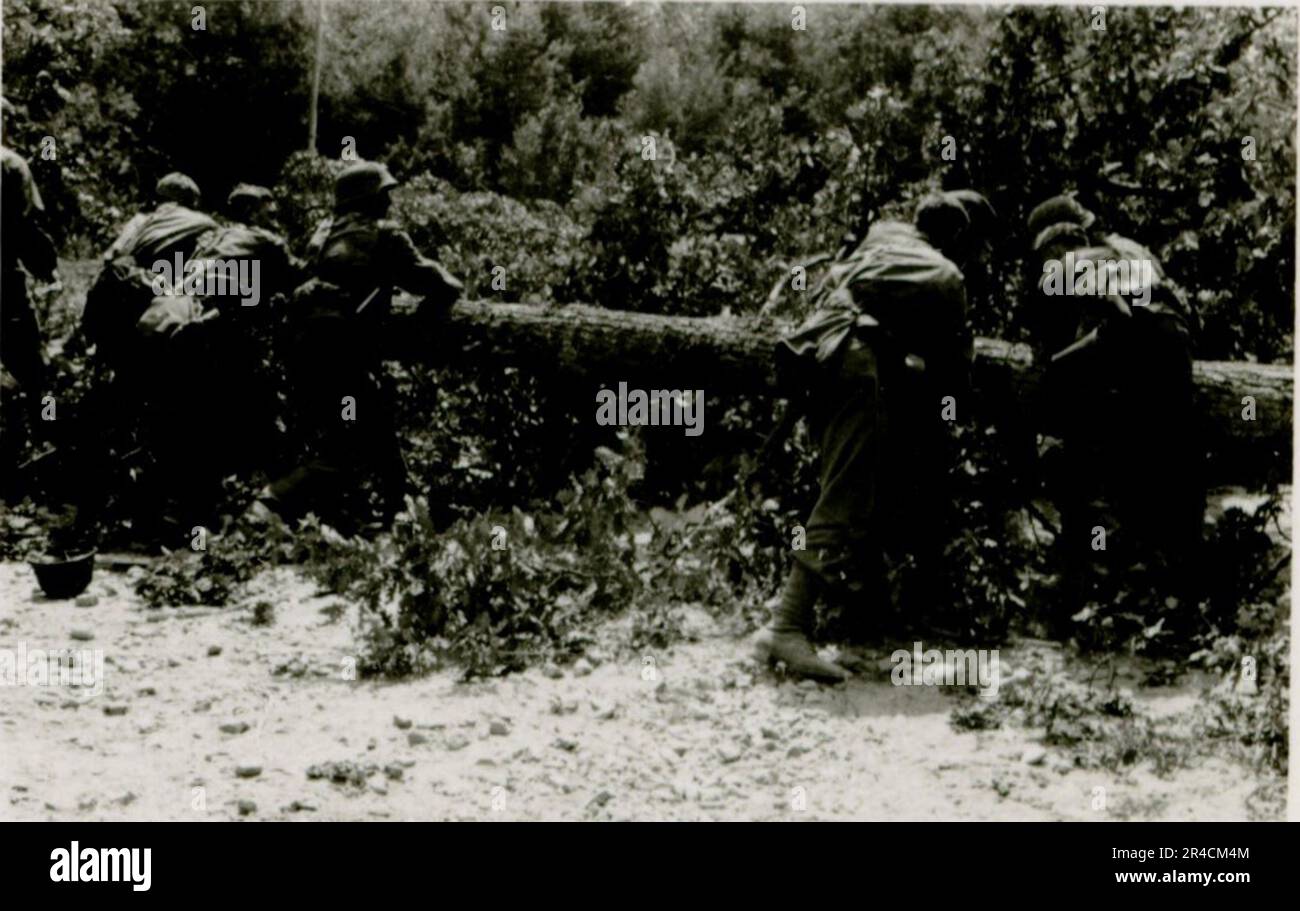 SS fotografo Willi Altstadt, Wiking Division, Russia 1942. Scene del villaggio della zona di Rostov, un Panzer III (con simboli unitari) e granatieri panzer sulla steppa, scene di combattimento lungo un fiume, primi piani della fanteria sul campo con armi individuali e servite dall'equipaggio, attraversamento del fiume (zattere d'assalto e pontone), costruzione di un blocco stradale, prigionieri di guerra russi, I soldati delle SS pescano e nuotano, cerimonia di premiazione delle unità, posto di osservazione affacciato su un fiume e equipaggio di artiglieria pesante con howitzer. Immagini che illustrano le attività in prima linea delle unità Waffen-SS sul fronte occidentale e orientale, i Foto Stock