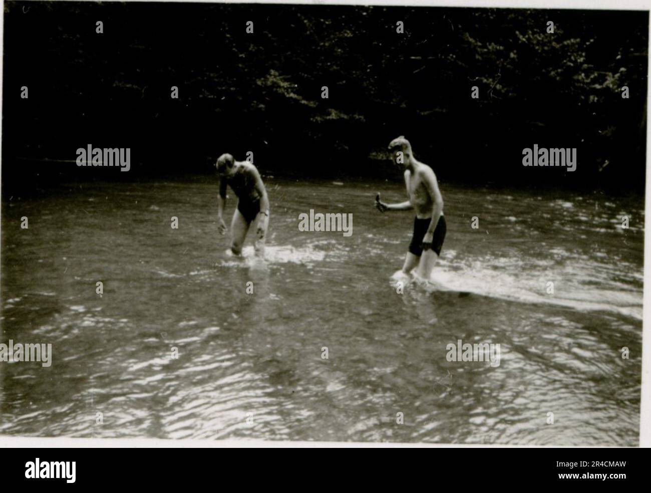 SS fotografo Willi Altstadt, Wiking Division, Russia 1942. Scene del villaggio della zona di Rostov, un Panzer III (con simboli unitari) e granatieri panzer sulla steppa, scene di combattimento lungo un fiume, primi piani della fanteria sul campo con armi individuali e servite dall'equipaggio, attraversamento del fiume (zattere d'assalto e pontone), costruzione di un blocco stradale, prigionieri di guerra russi, I soldati delle SS pescano e nuotano, cerimonia di premiazione delle unità, posto di osservazione affacciato su un fiume e equipaggio di artiglieria pesante con howitzer. Immagini che illustrano le attività in prima linea delle unità Waffen-SS sul fronte occidentale e orientale, i Foto Stock