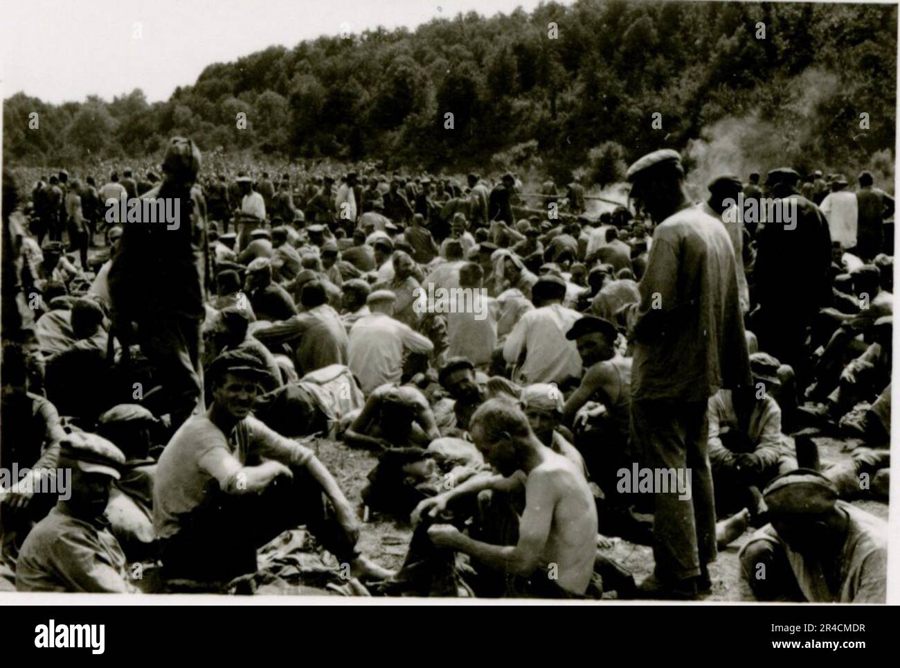 SS fotografo Willi Altstadt, Wiking Division, Russia 1942. Scene del villaggio della zona di Rostov, un Panzer III (con simboli unitari) e granatieri panzer sulla steppa, scene di combattimento lungo un fiume, primi piani della fanteria sul campo con armi individuali e servite dall'equipaggio, attraversamento del fiume (zattere d'assalto e pontone), costruzione di un blocco stradale, prigionieri di guerra russi, I soldati delle SS pescano e nuotano, cerimonia di premiazione delle unità, posto di osservazione affacciato su un fiume e equipaggio di artiglieria pesante con howitzer. Immagini che illustrano le attività in prima linea delle unità Waffen-SS sul fronte occidentale e orientale, i Foto Stock