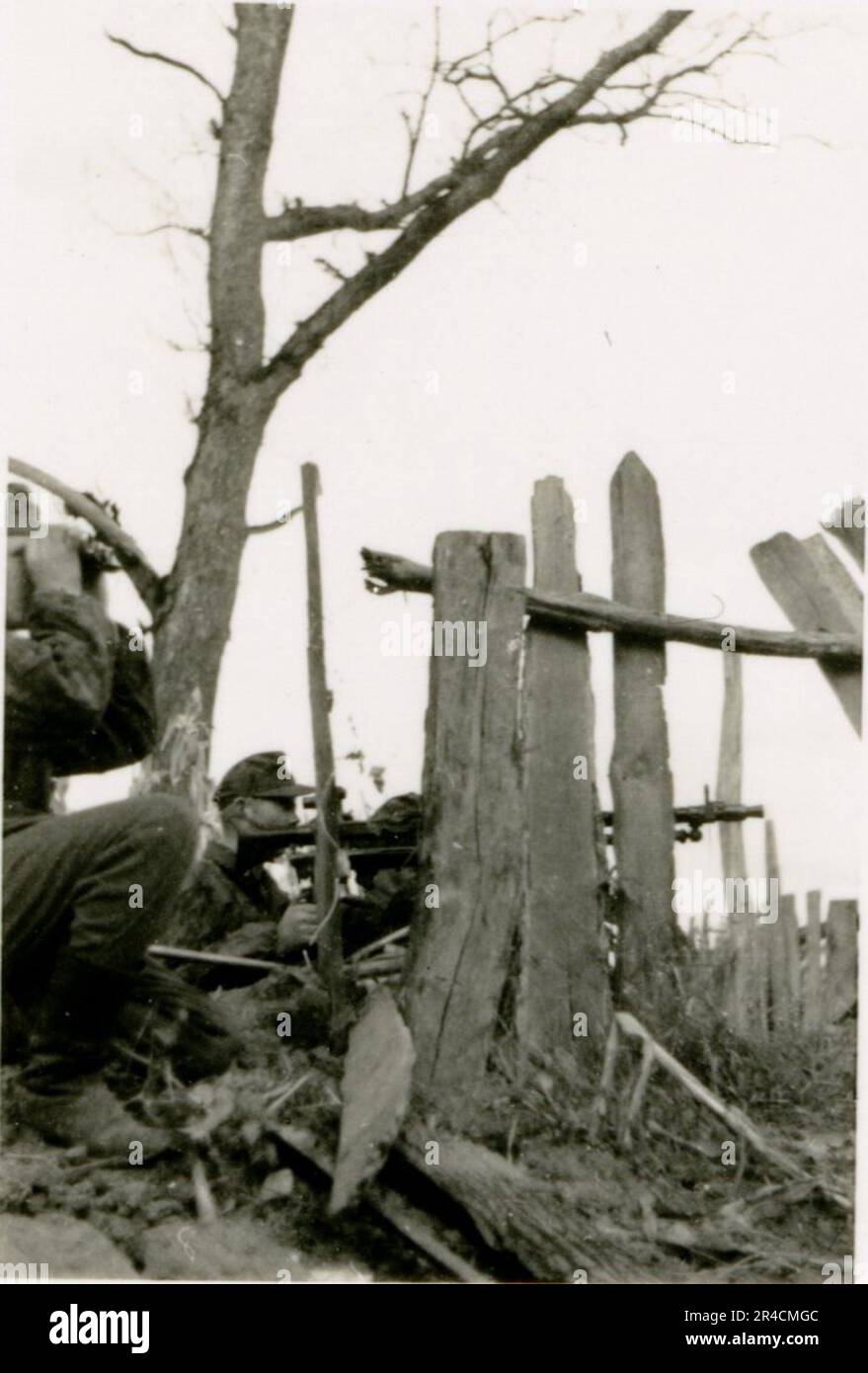 SS fotografo Willi Altstadt, Wiking Division, Russia 1942. Scene del villaggio della zona di Rostov, un Panzer III (con simboli unitari) e granatieri panzer sulla steppa, scene di combattimento lungo un fiume, primi piani della fanteria sul campo con armi individuali e servite dall'equipaggio, attraversamento del fiume (zattere d'assalto e pontone), costruzione di un blocco stradale, prigionieri di guerra russi, I soldati delle SS pescano e nuotano, cerimonia di premiazione delle unità, posto di osservazione affacciato su un fiume e equipaggio di artiglieria pesante con howitzer. Immagini che illustrano le attività in prima linea delle unità Waffen-SS sul fronte occidentale e orientale, i Foto Stock
