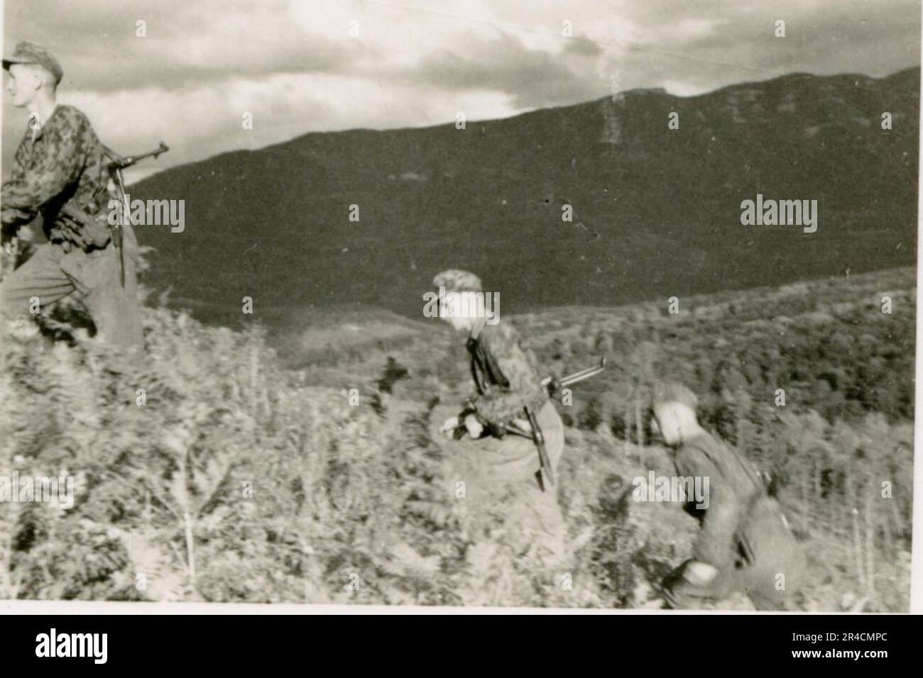 SS fotografo Willi Altstadt, Wiking Division, Russia 1942. Scene del villaggio della zona di Rostov, un Panzer III (con simboli unitari) e granatieri panzer sulla steppa, scene di combattimento lungo un fiume, primi piani della fanteria sul campo con armi individuali e servite dall'equipaggio, attraversamento del fiume (zattere d'assalto e pontone), costruzione di un blocco stradale, prigionieri di guerra russi, I soldati delle SS pescano e nuotano, cerimonia di premiazione delle unità, posto di osservazione affacciato su un fiume e equipaggio di artiglieria pesante con howitzer. Immagini che illustrano le attività in prima linea delle unità Waffen-SS sul fronte occidentale e orientale, i Foto Stock