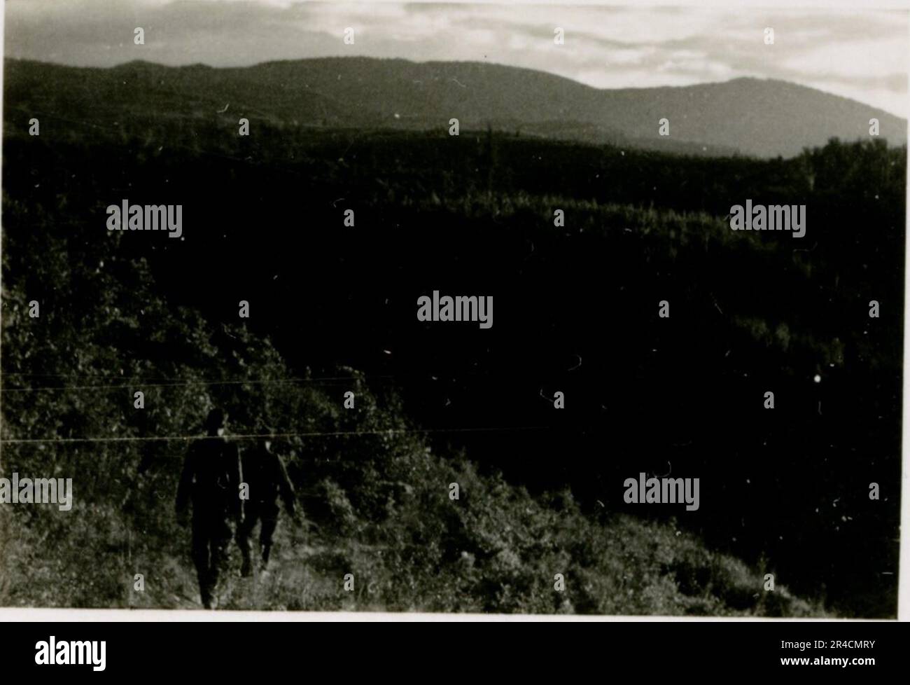 SS fotografo Willi Altstadt, Wiking Division, Russia 1942. Scene del villaggio della zona di Rostov, un Panzer III (con simboli unitari) e granatieri panzer sulla steppa, scene di combattimento lungo un fiume, primi piani della fanteria sul campo con armi individuali e servite dall'equipaggio, attraversamento del fiume (zattere d'assalto e pontone), costruzione di un blocco stradale, prigionieri di guerra russi, I soldati delle SS pescano e nuotano, cerimonia di premiazione delle unità, posto di osservazione affacciato su un fiume e equipaggio di artiglieria pesante con howitzer. Immagini che illustrano le attività in prima linea delle unità Waffen-SS sul fronte occidentale e orientale, i Foto Stock