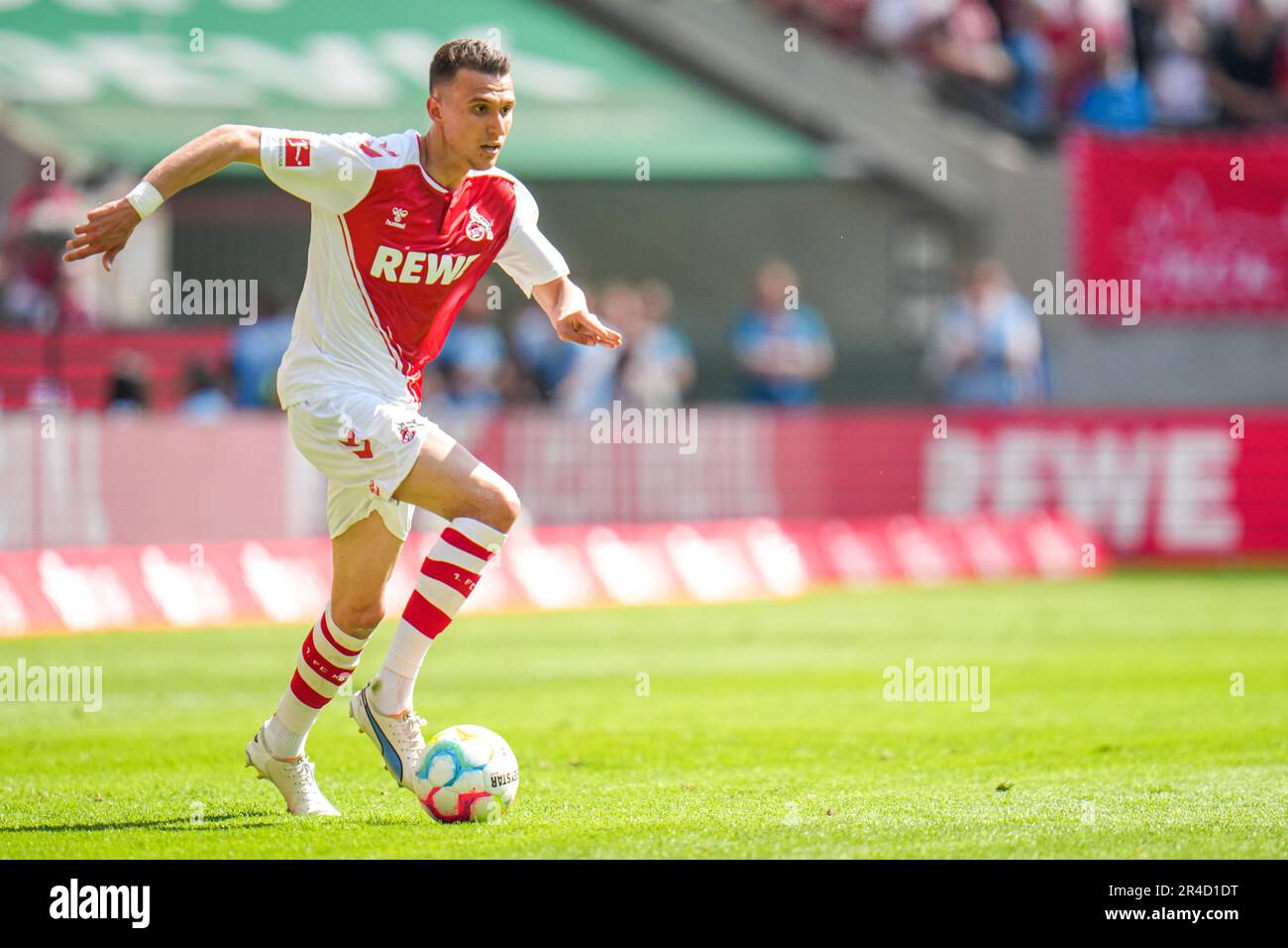 Colonia, Germania. 27th maggio, 2023. COLONIA, GERMANIA - MAGGIO 27: Dejan Ljubicic del 1. FC Koln durante la partita della Bundesliga tra il 1. FC Koln e FC Bayern Munchen al RheinEnergieStadion il 27 maggio 2023 a Colonia, Germania (Foto di Rene Nijhuis/Orange Pictures) Credit: Orange Pics BV/Alamy Live News Foto Stock