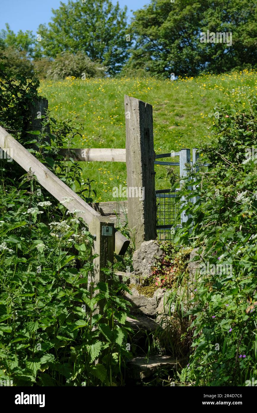 Stile che conduce in un campo somerset vicino a Monkton combe Bath Somerset UK Foto Stock