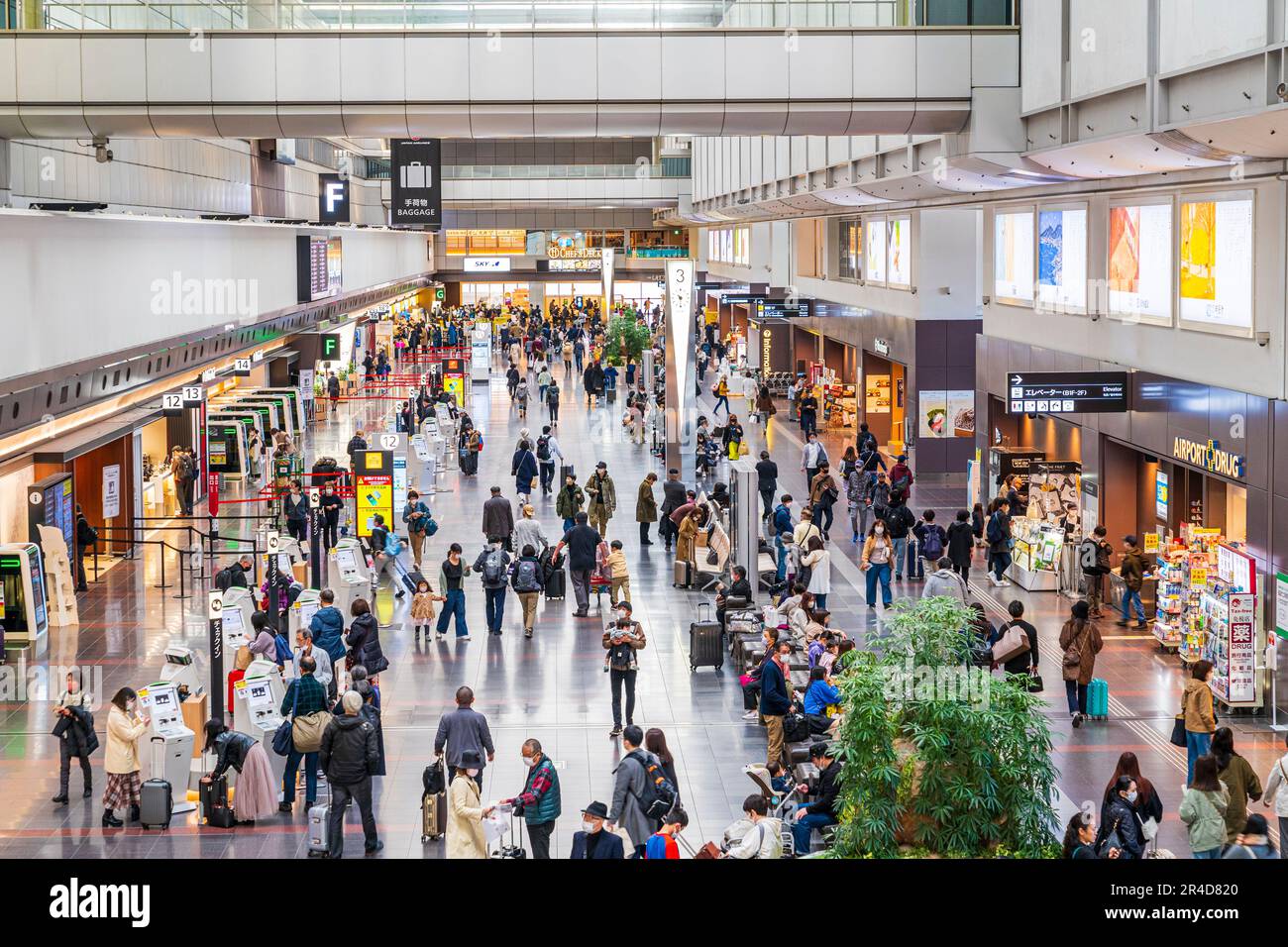 Vista dall'alto lungo l'interno del terminal nazionale 1 dell'aeroporto di Haneda Tokyo, banchi di check-in da un lato e negozi al dettaglio dall'altro. Foto Stock