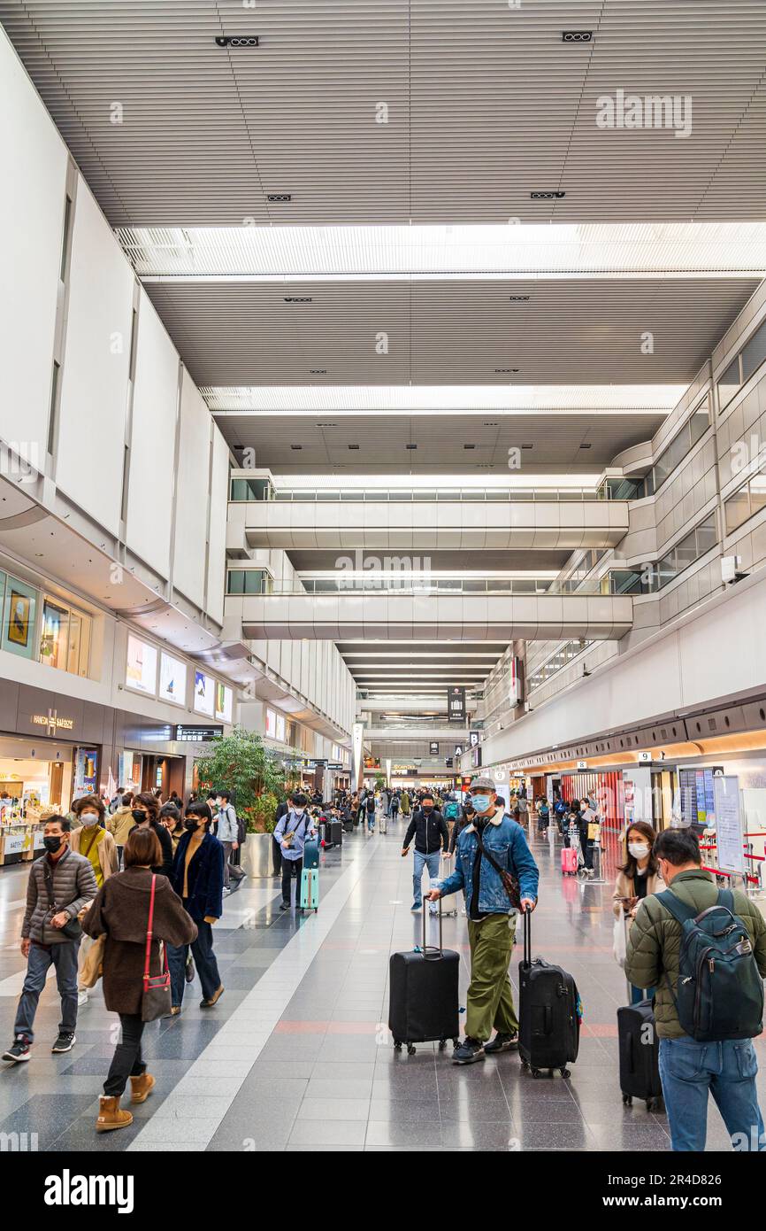 Vista lungo l'interno del terminal nazionale 1 presso l'aeroporto Haneda Tokyo, banco check-in da un lato e negozi al dettaglio dall'altro. Foto Stock