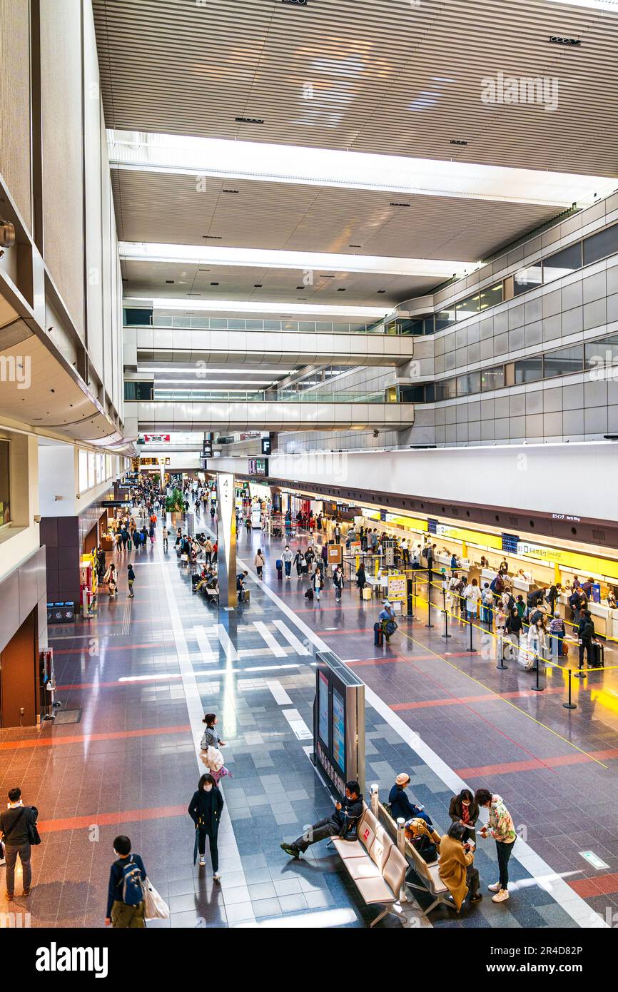 Vista dall'alto lungo l'interno del terminal nazionale 1 dell'aeroporto di Haneda Tokyo, banchi di check-in da un lato e negozi al dettaglio dall'altro. Foto Stock