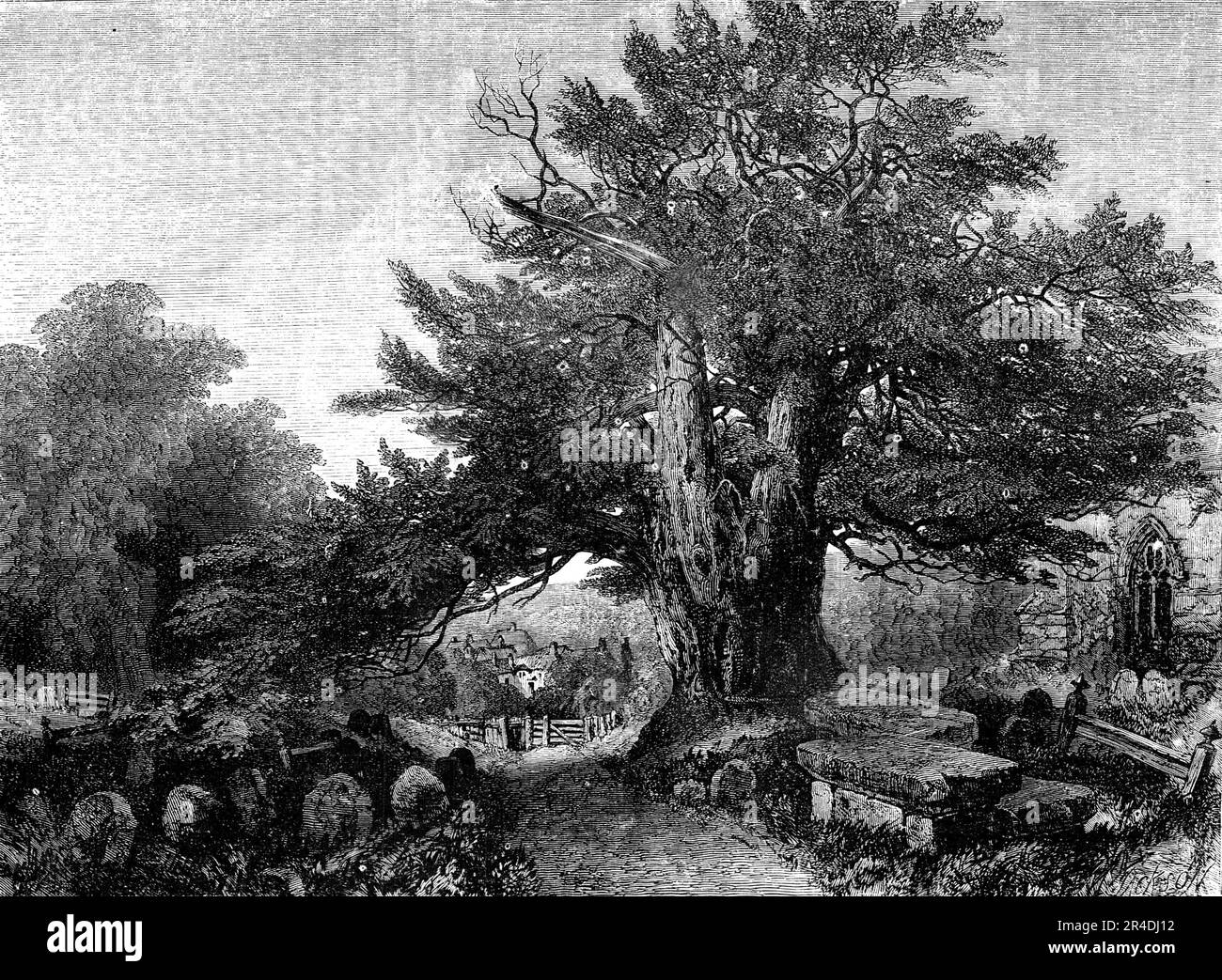 "A Country Churchyard" - Painted by Samuel Read - from the Exhibition of the Society of British Artists, 1856. Incisione di un dipinto. 'Le seguenti sono le linee che l'artista ha illustrato in modo speciale: [Sotto quegli elmi aspro, quell'ombra di un albero di tasso, dove il cielo del tappeto erboso in molti un mucchio di muffa'ring,] ciascuno nella sua cella stretta per mai posato, i maleducati antenati del borgo dormono'. Righe da "Elegy written in a Country Churchyard" di Thomas Gray. Da "Illustrated London News", 1856. Foto Stock