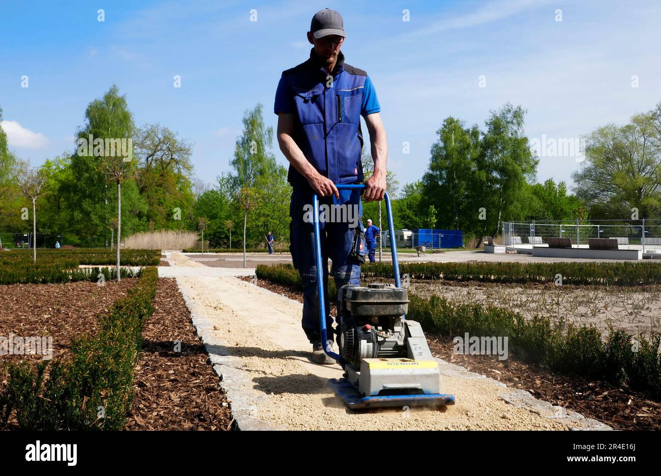 Bad Bentheim, Germania - Maggio 5 2023 un dipendente di un'azienda di giardinaggio vibra la sabbia da un nuovo percorso con un compattatore Foto Stock