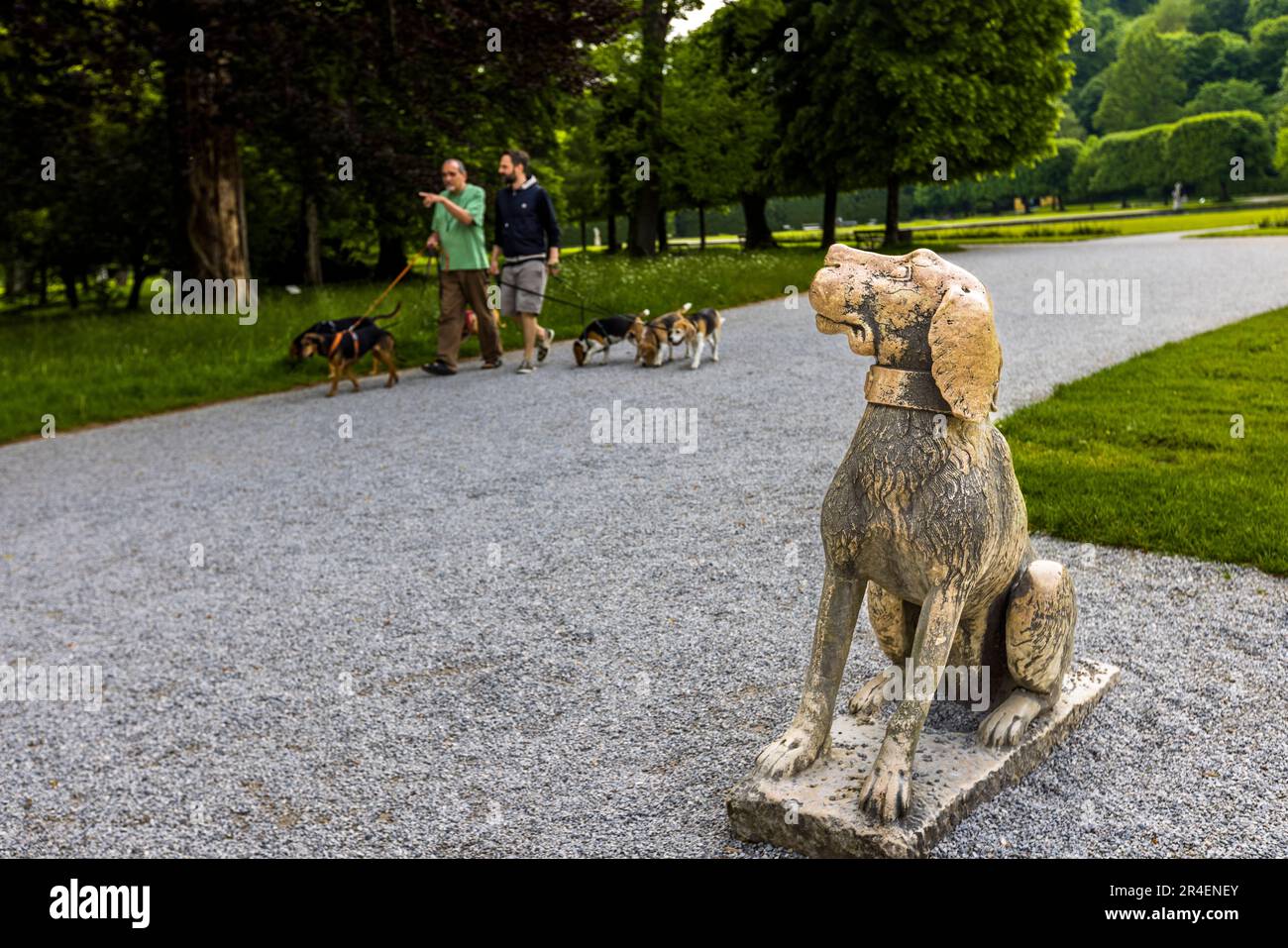 Una scultura di cane in pietra si trova nel parco del castello di Hellbrunn a Salisburgo, Austria, mentre due uomini passeggiano diversi beagle al guinzaglio sullo sfondo. L'arcivescovo principe Markus Sitticus von Hohenems fece costruire il palazzo di delizia come residenza estiva nel 1613–1619. Foto Stock