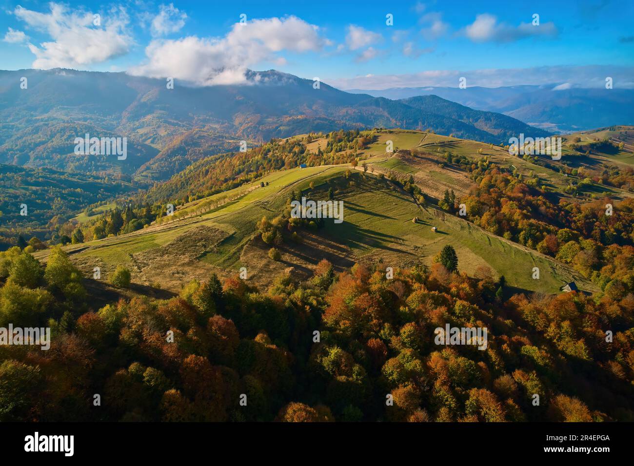 Vista aerea del drone sulla foresta autunnale. Alberi colorati nel legno. Sfondo autunnale, vista aerea drone di bellissimo paesaggio forestale con alberi autunnali Foto Stock