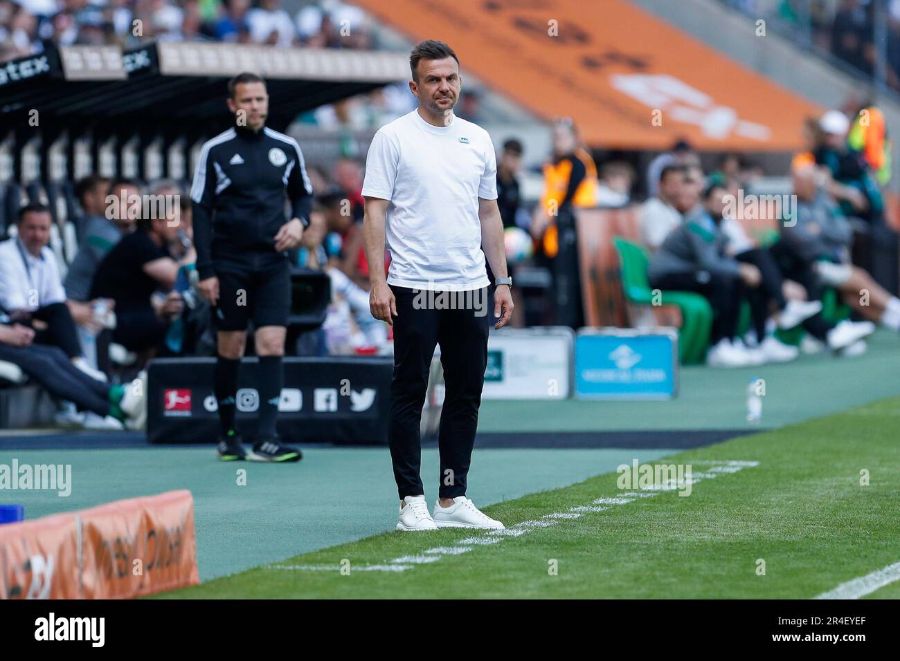 Borussia Monchengladbach, Deutschland. 27th maggio, 2023. Enrico Maassen (FC Augsburg, allenatore). Borussia Monchengladbach Soccer 1st Bundesliga 34th matchday Matchday 34 Borussia Monchengladbach - FC Augsburg Maggio 12th 2023 Borussia Park Borussia Monchengladbach #le normative DFL vietano qualsiasi uso di fotografie come sequenze di immagini e/o quasi-video # Credit: dpa/Alamy Live News Foto Stock