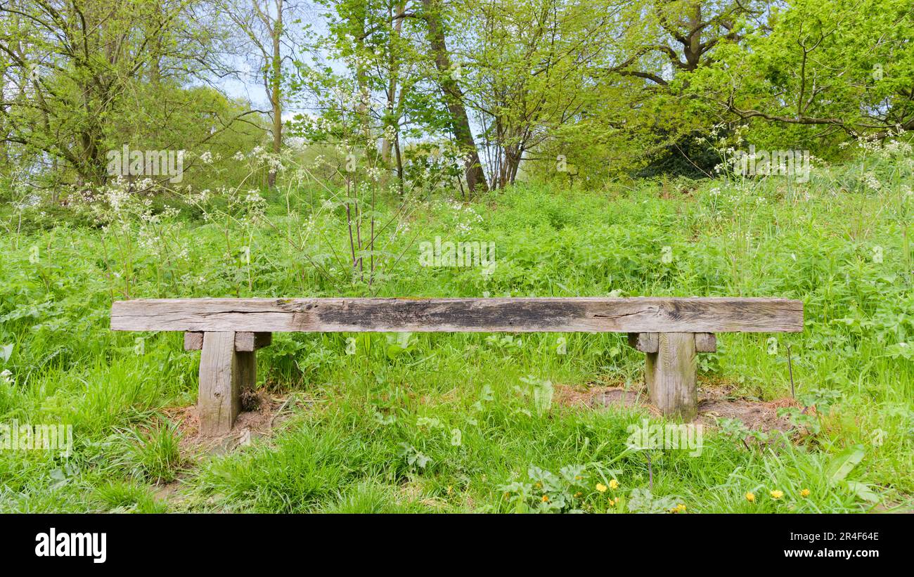 Semplice sede in legno in prato durante la primavera Foto Stock