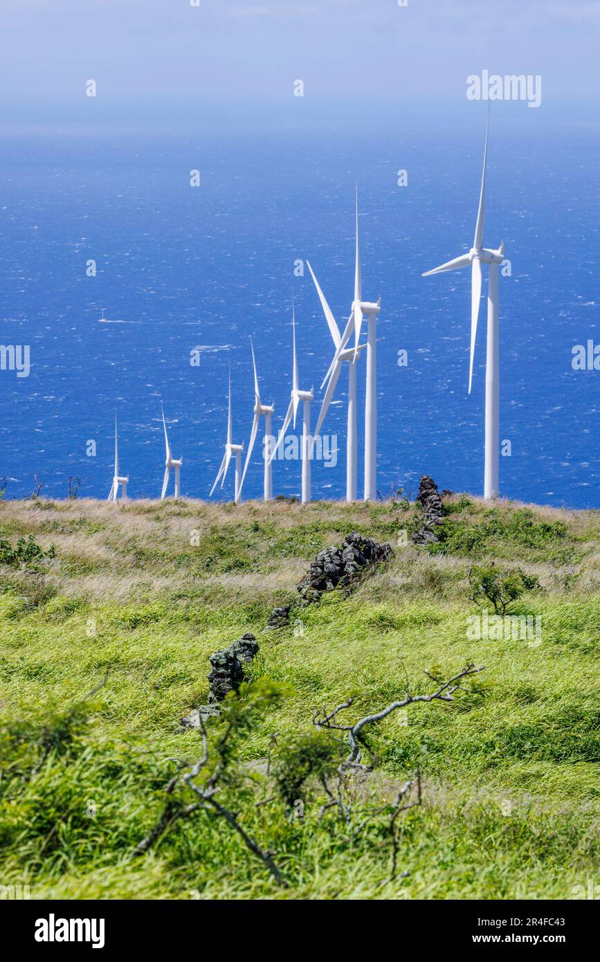 I resti di un'antica parete delle Hawaii si trovano di fronte alle turbine eoliche Auwahi sulla costa sud-orientale di Maui, Hawaii, di proprietà congiunta di Sempra U.S. G Foto Stock