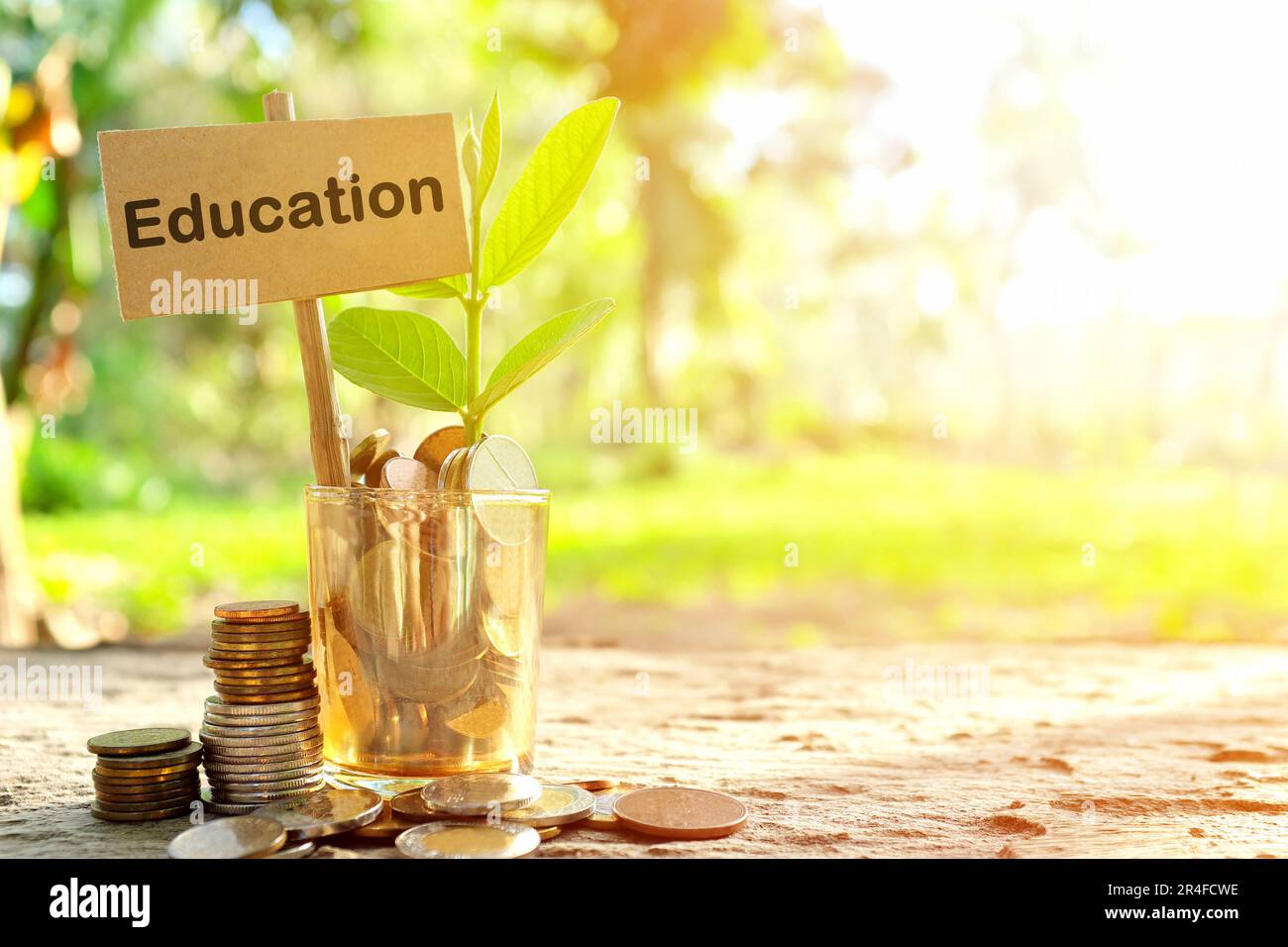 Investimento sul concetto di istruzione. Monete in un vaso con terreno e pianta crescente in background naturale. Foto Stock
