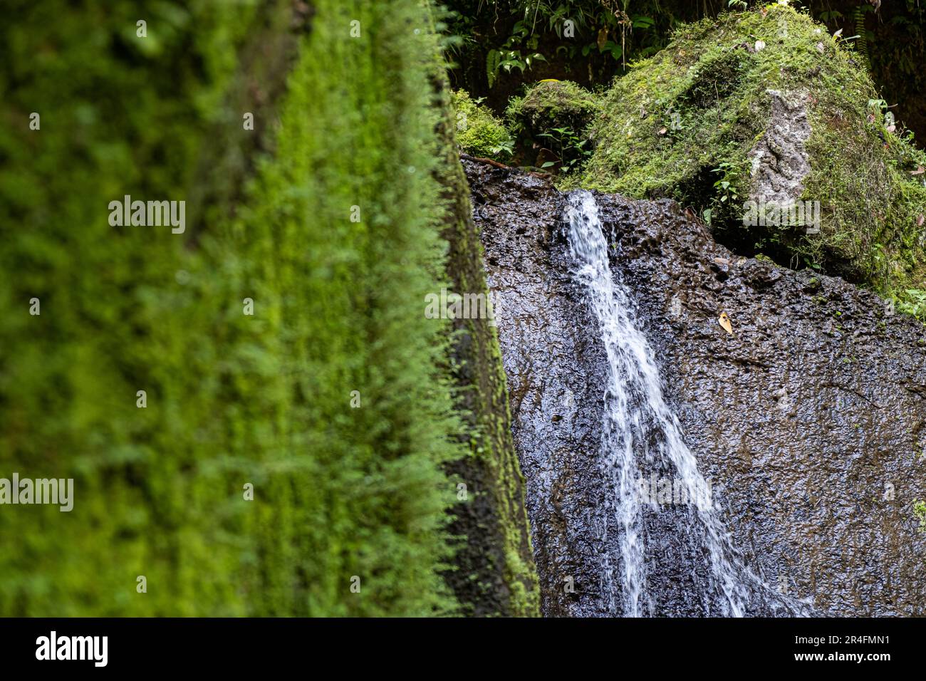 cascate nella natura di bali Foto Stock