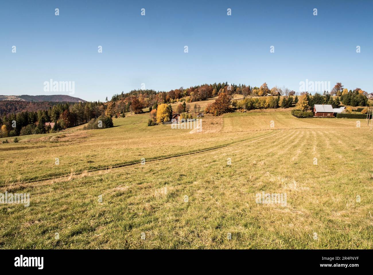 Prezibek in autunno le montagne di Beskid Zywiecki in Polonia vicino ai confini con la Slovacchia Foto Stock
