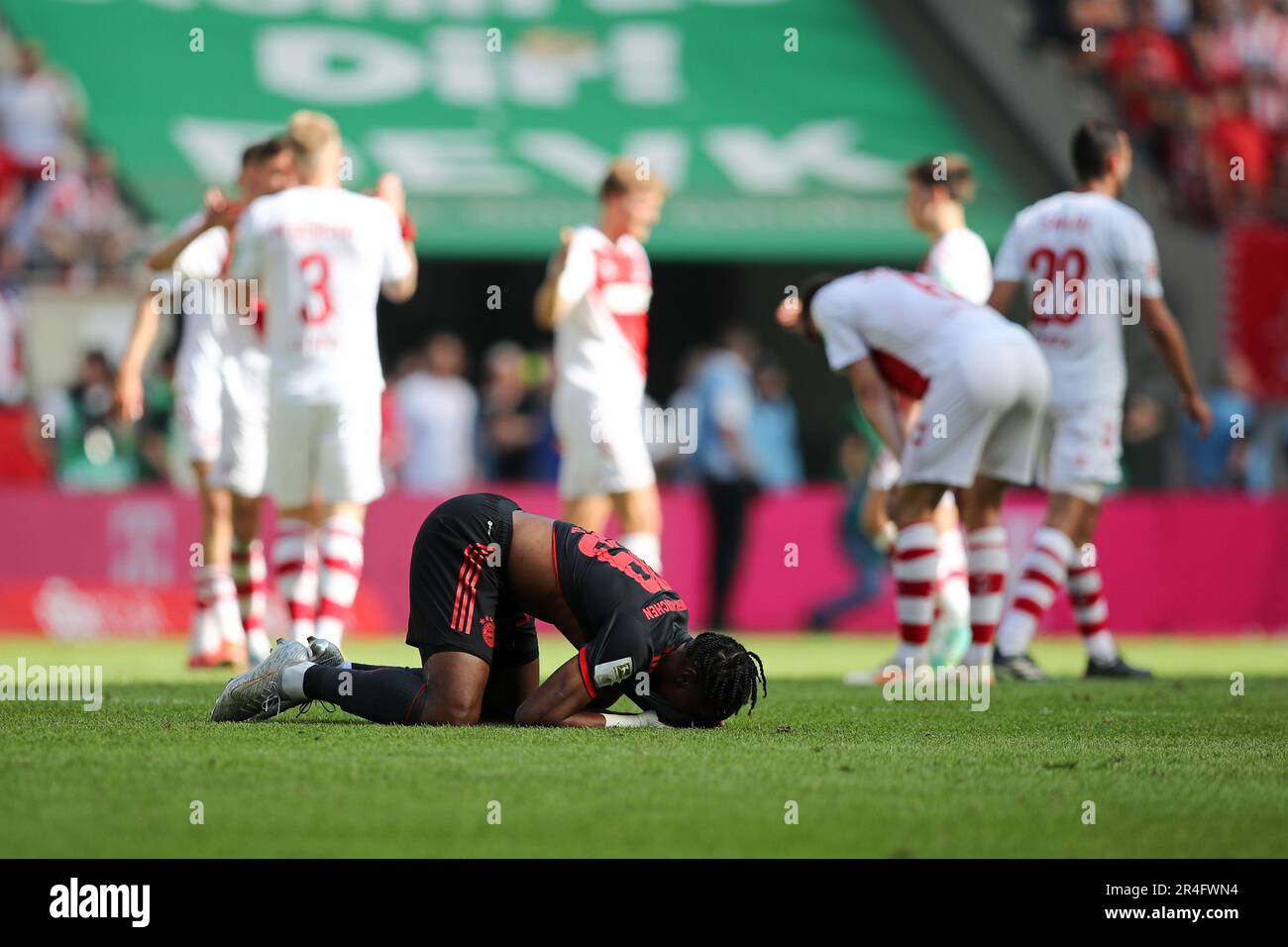 Mathys Tel del FC Bayern Muenchen kŸsst nach dem solleva il trofeo Bundesliga Meisterschale dopo la vittoria della squadra nella Bundesliga den Rasen Deutscher Meister 2023 FC Bayern MŸnchen feiert Fussball 1 . Bundesliga Saison 2022 / 2023 1. FC Kšln Koeln - FC Bayern MŸnchen festeggia dopo che il loro fianco ha finito la stagione come campioni della Bundesliga © diebilderwelt / Alamy Stock Foto Stock