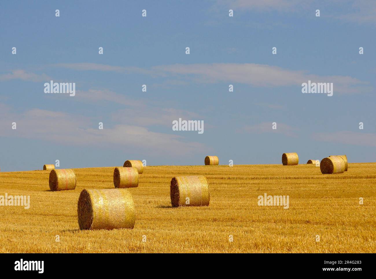 BW. Balle di paglia Kraichgau su campo grano, campo stoppie Foto Stock