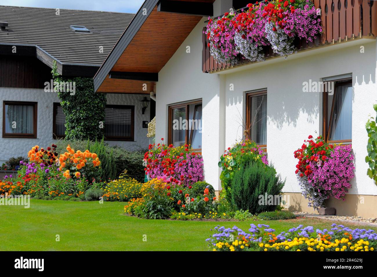 Baden-Wuerttemberg, Foresta Nera casa con giardino fiorito in estate, diversi fiori estivi in giardino, balcone con petunie e gerani Foto Stock
