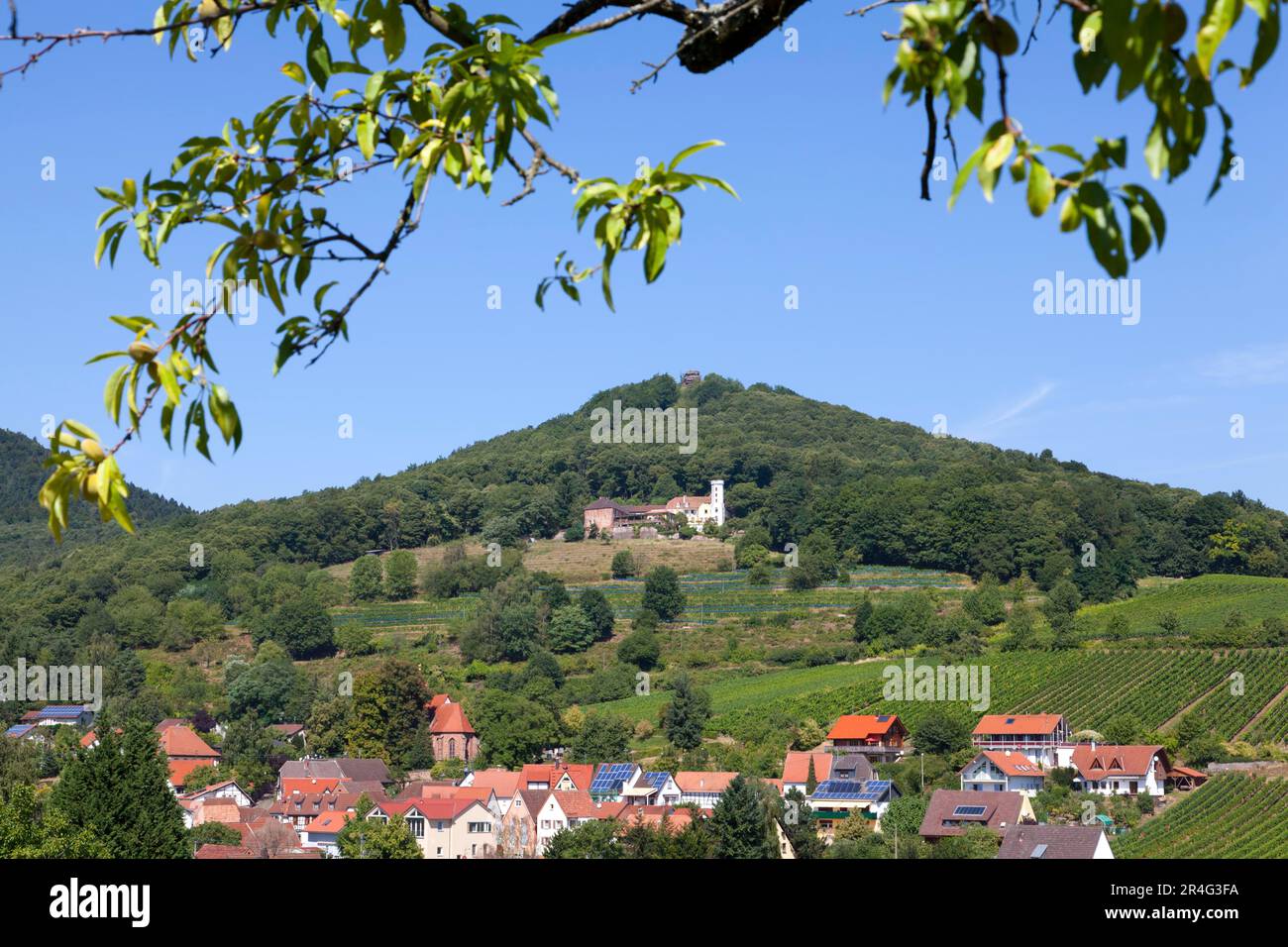 Sopra il villaggio del vino di Leinsweiler si trova lo Slevogthof Neukastel, una casa padronale del 19th ° secolo dove il famoso pittore Max Slevogt (1868-1932) Foto Stock