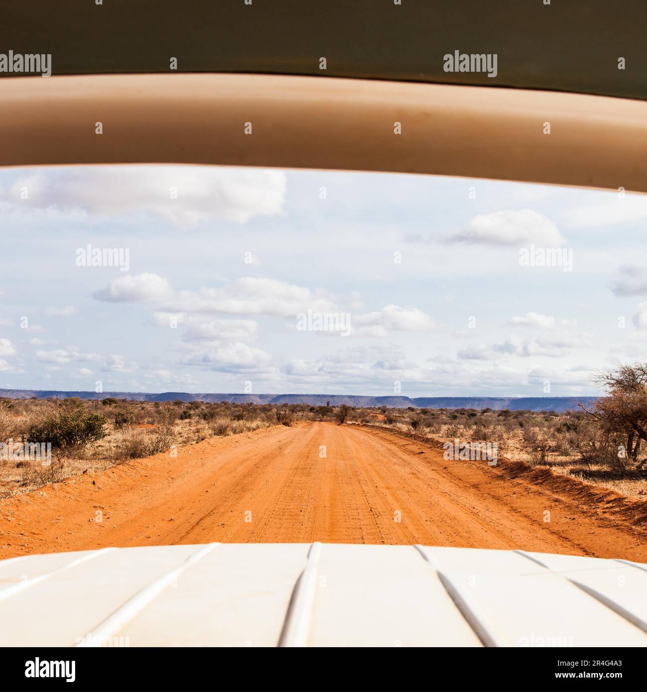 Turist punto di vista da un veicolo di safari in Kenya, parco nazionale orientale di Tsavo Foto Stock