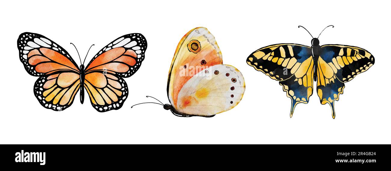 Acquerello collezione di farfalle multicolore, elementi vettoriali a farfalla su sfondo bianco. Farfalla illustrazione adatta per decorare nel vostro Illustrazione Vettoriale