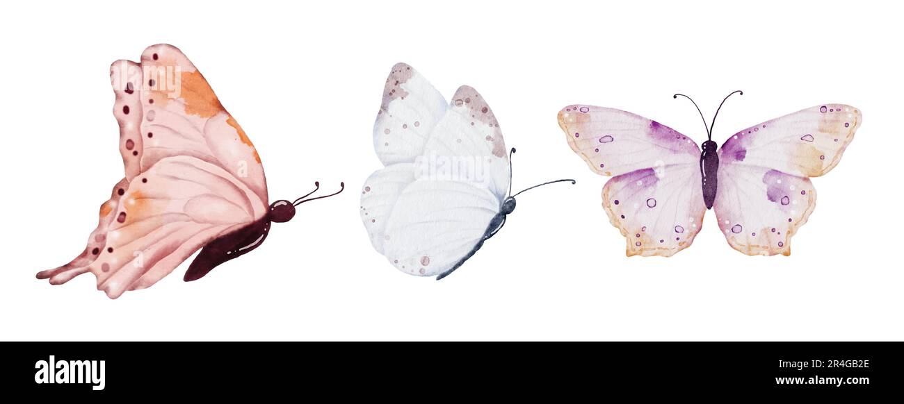 Acquerello toni della terra collezione farfalle, elementi vettoriali farfalla su sfondo bianco. Farfalla illustrazione adatta per decorare nel vostro d Illustrazione Vettoriale