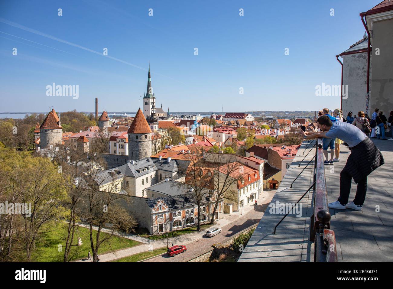 Turisti che guardano Vanalinn, la città vecchia di Tallinn, Estonia, dalla piattaforma di osservazione dei vaateplats di Patkuli nella collina di Toompea Foto Stock