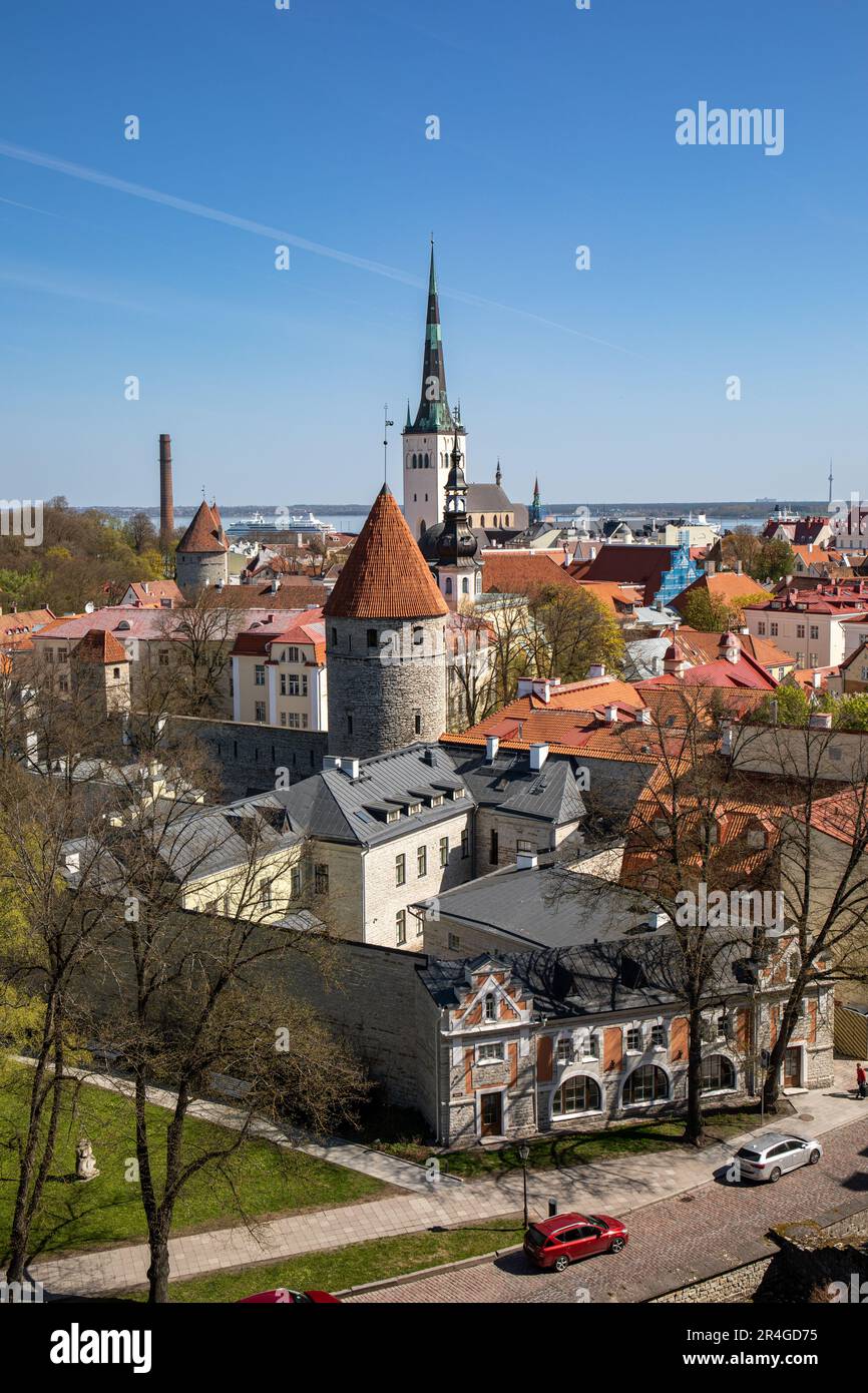 La Città Vecchia di Tallinn o i tetti di Vanalinn visti dalla piattaforma di osservazione Patkuli a Tallinn, Estonia Foto Stock