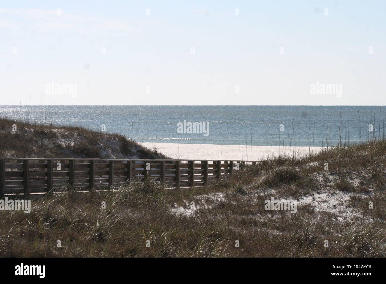 Progetto di dune di sabbia di Gulf Shores. Il progetto di restauro delle dune di sabbia è uno sforzo per salvare le spiagge di Gulf Shore, Alabama. Foto Stock