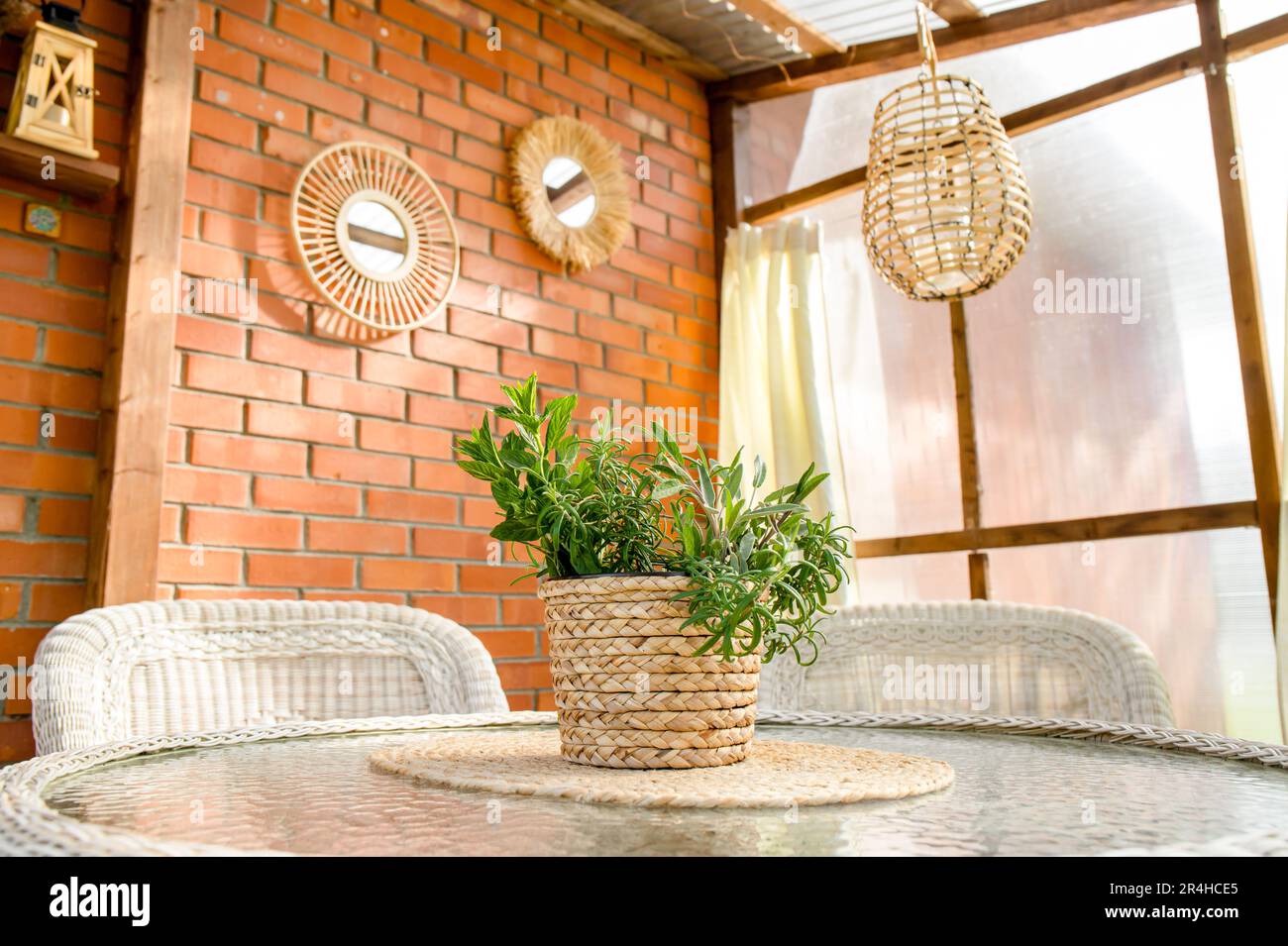 Zanzara repellente miscela di piante che cresce in vaso di fiori all'aperto in balcone. Erbe aromatiche rosmarino, salvia e menta piperita crescere e respingere gli insetti. Foto Stock